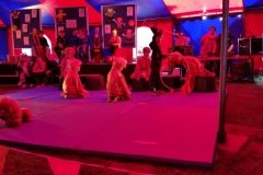 20150530_090103