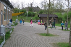 IMG_1245