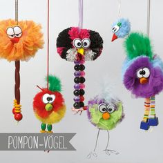 AG - Pompon-Vögel